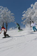 Nagano Ski and snow board
