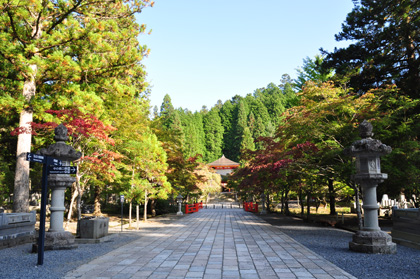 Images of Japan