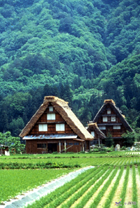 Takayama