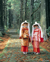 mt koya