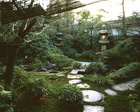 jpanese garden