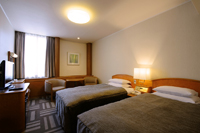 Shiba Park hotel tokyo